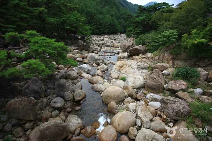 칠선계곡의 숲과 바위 사이로 흐르는 물